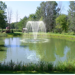 Fontano purkštukas Willow Tree 59